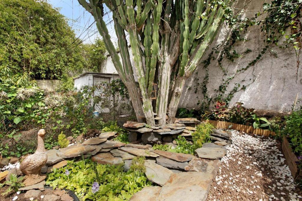 Casa Con Jardin Villa Tacoronte Buitenkant foto